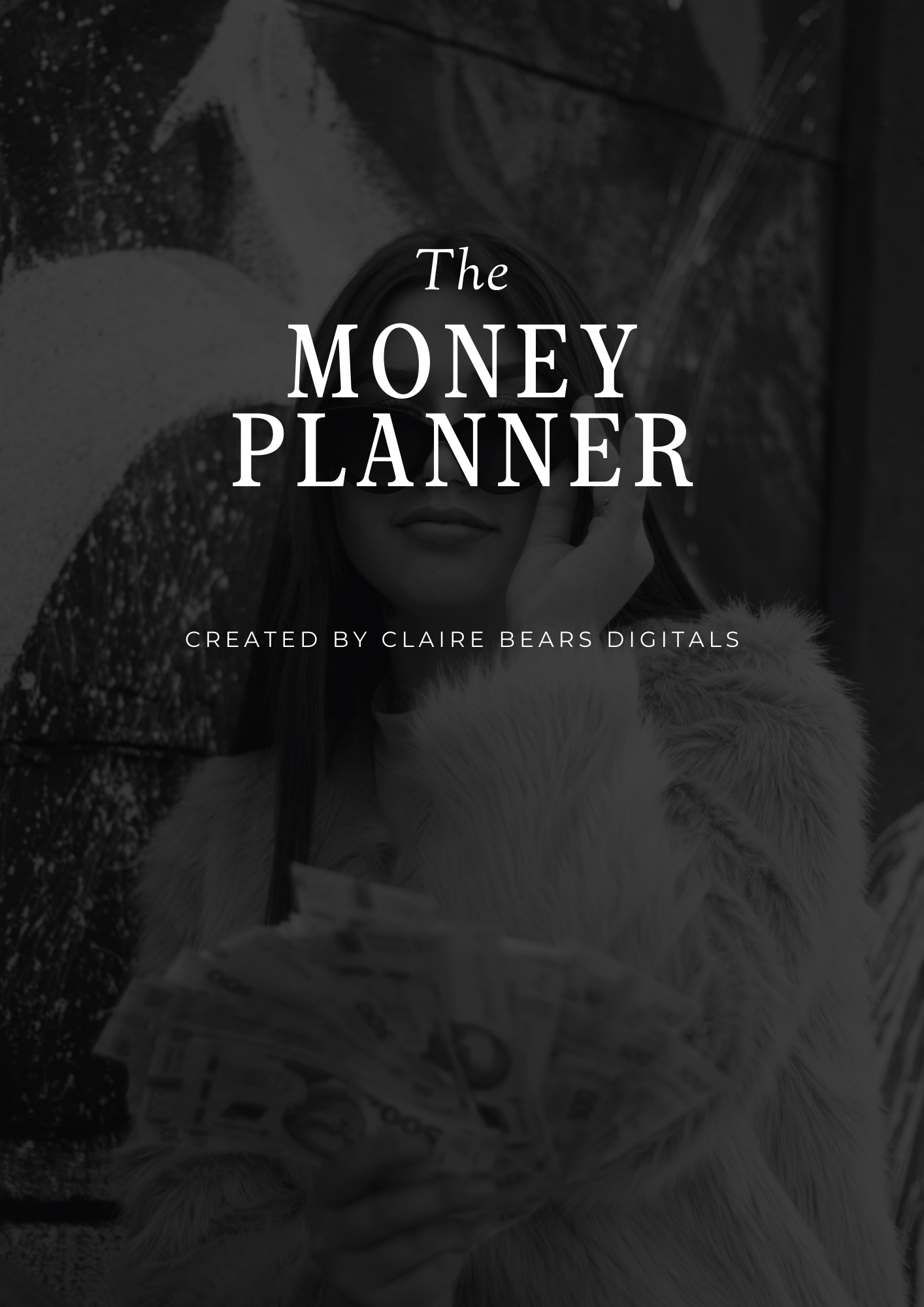 The Money Planner
